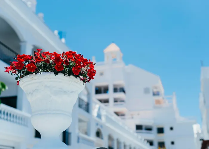 Los Cristianos (Tenerife) Hotels