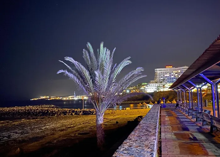 Las Flores Studio 2 Playa de las Americas 