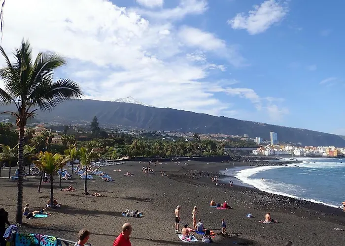 Pet friendly Cerca De Playa Jardin Apartment Puerto de la Cruz 